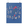 CA Grown Poppies Blue Poster-CA LIMITED