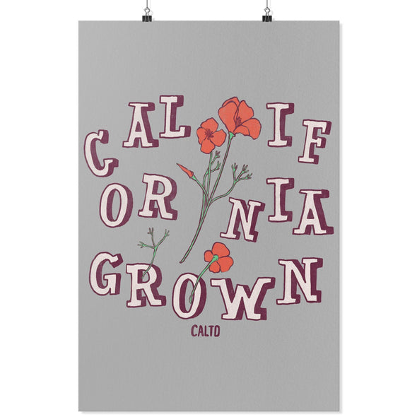 CA Grown Poppies Grey Poster-CA LIMITED