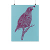 Quail Blue Poster-CA LIMITED