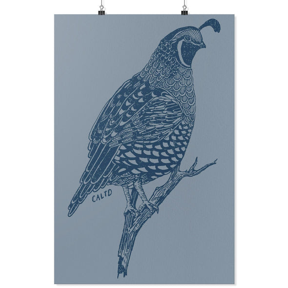 Quail Regent Grey Poster-CA LIMITED